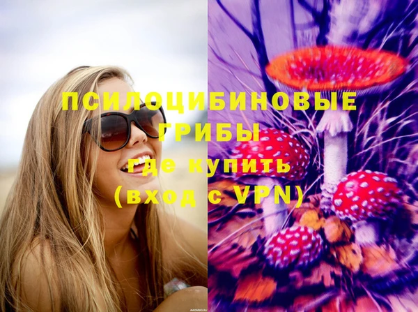 дживик Кущёвская